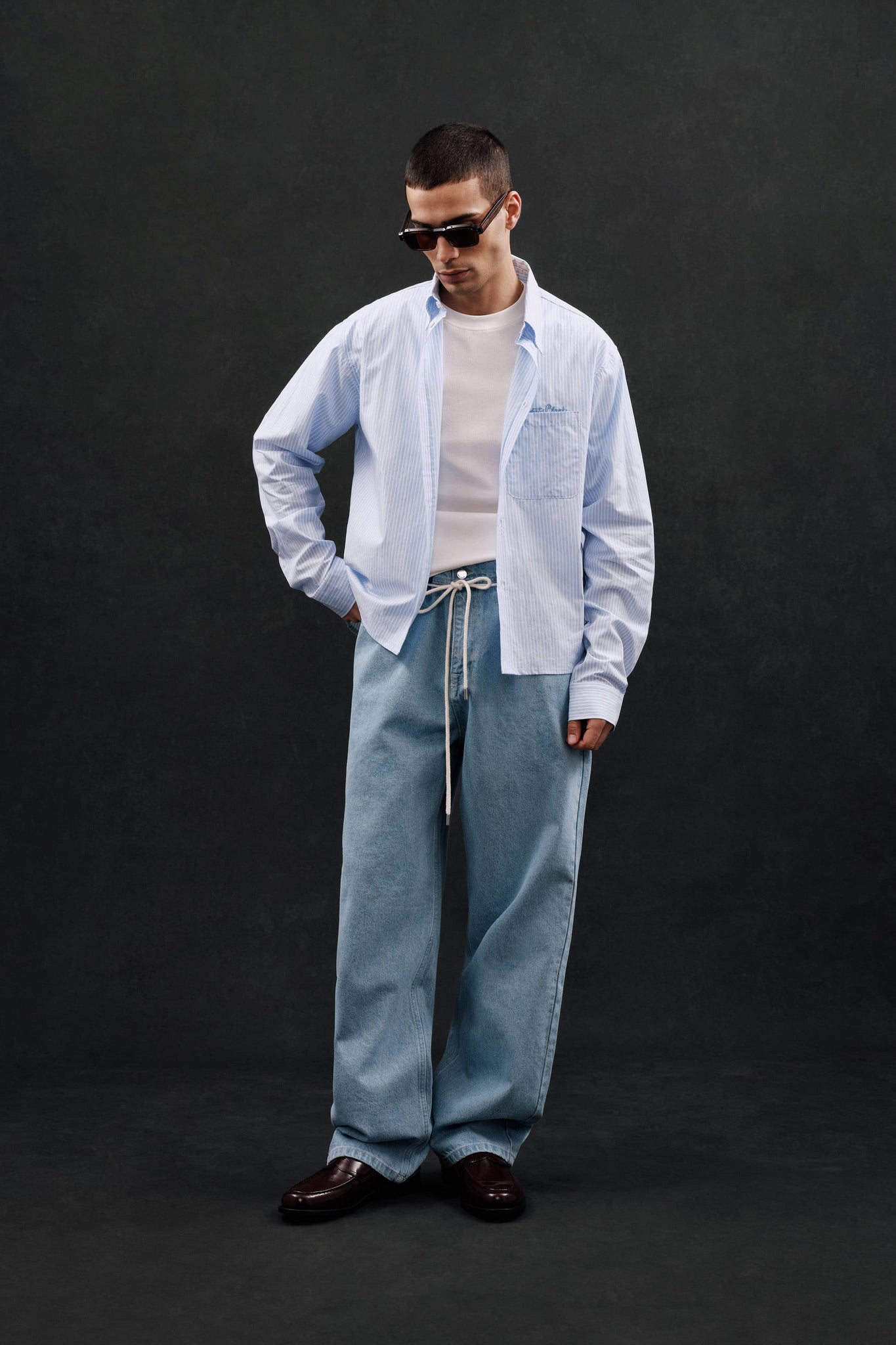 striped oxford shirt white/blue