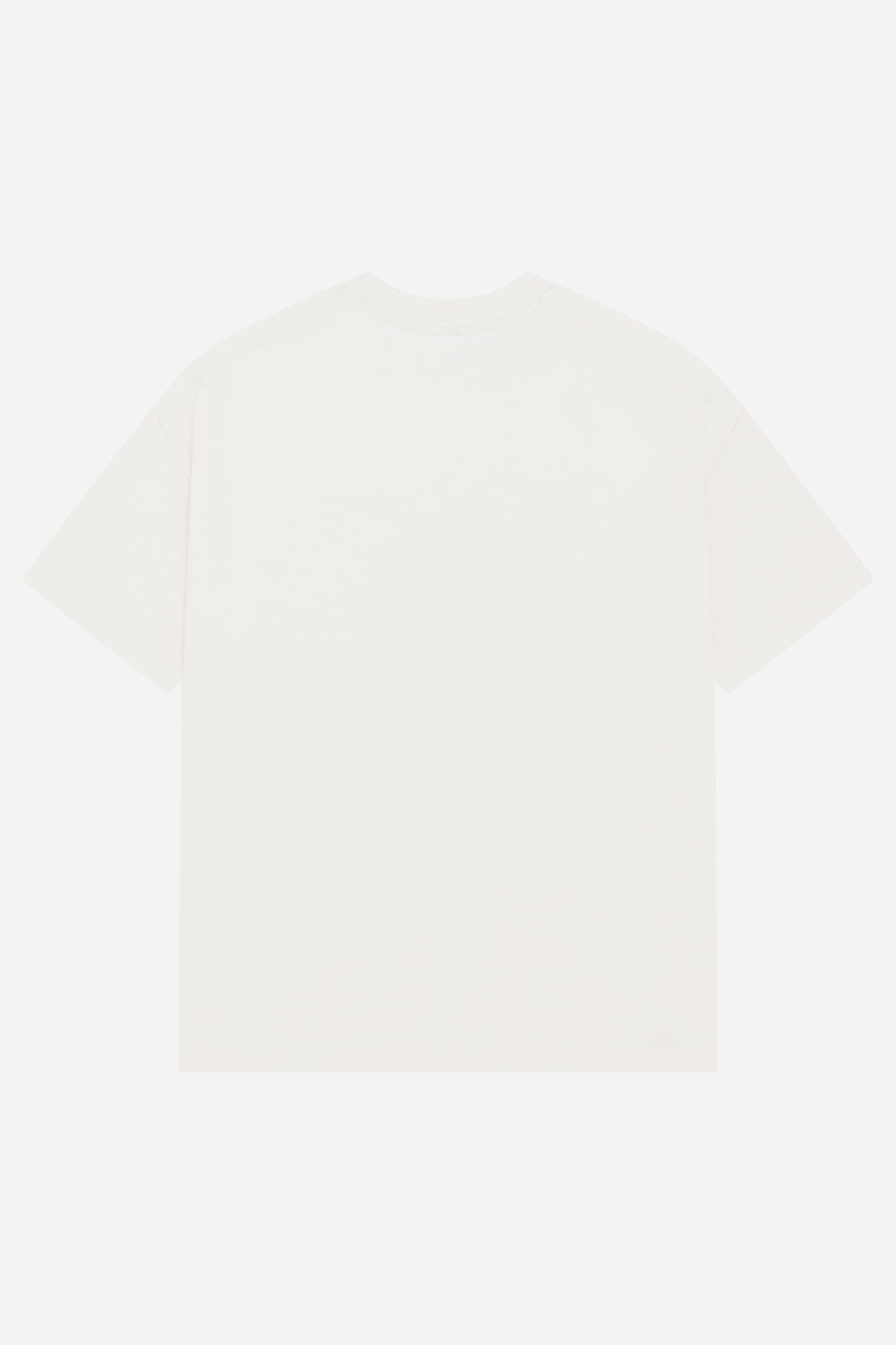 landscape t-shirt oat